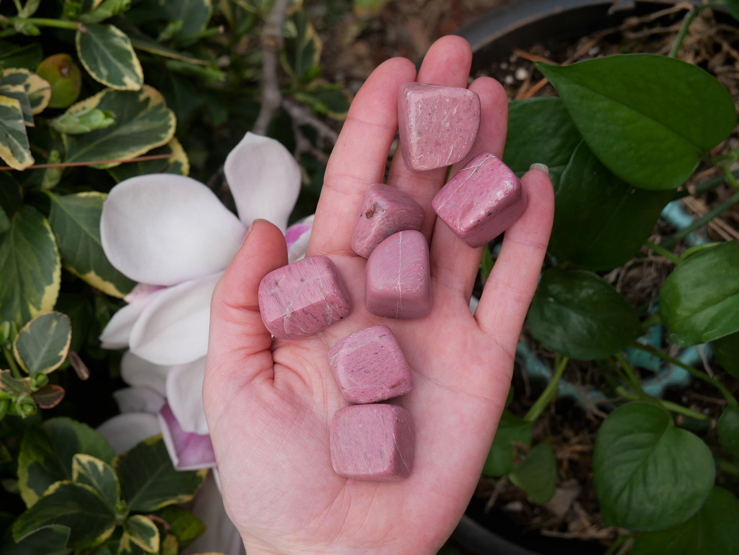 Pink Opal Stones