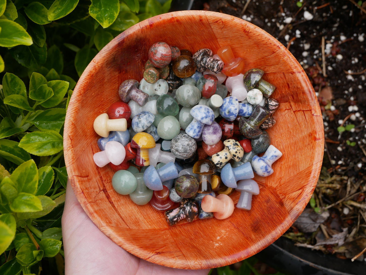 Crystal Mushroom Mix