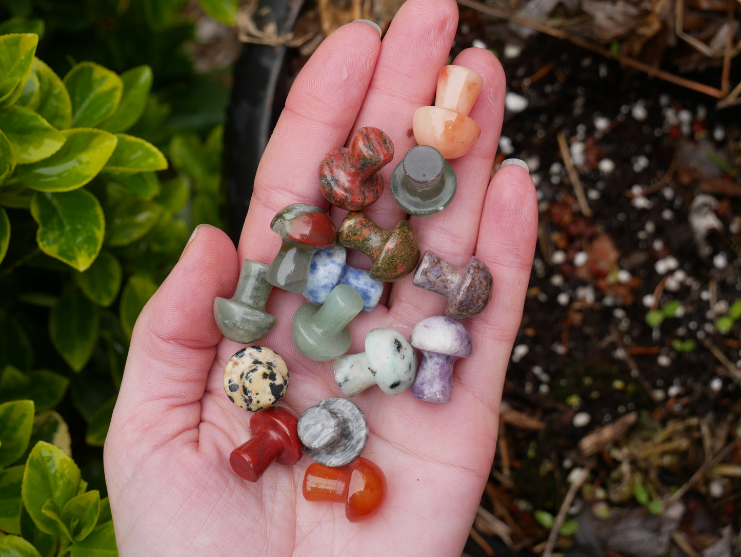 Crystal Mushroom Mix