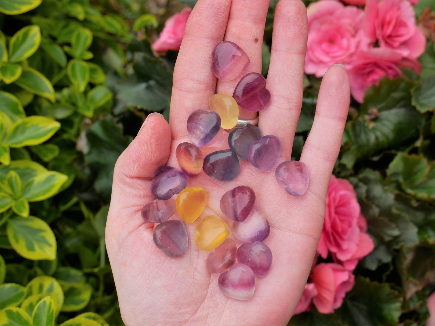 Fluorite Hearts