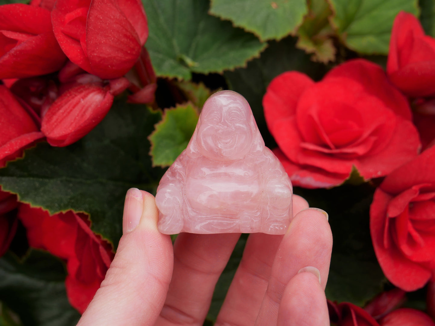 Rose Quartz Buddha