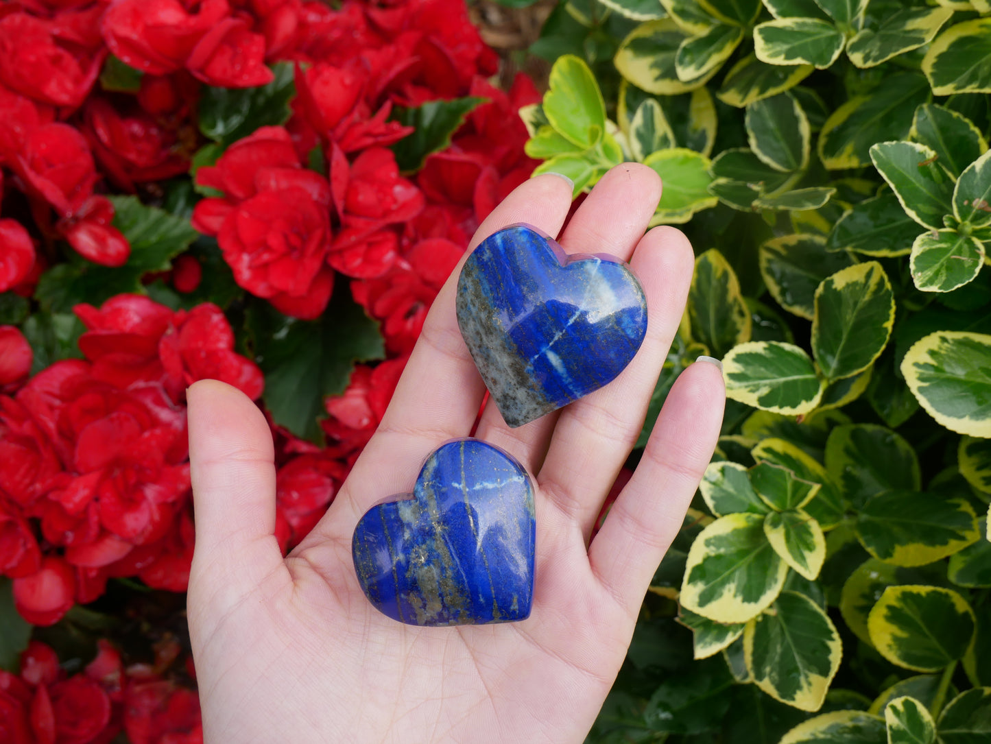 Lapis Lazuli Hearts