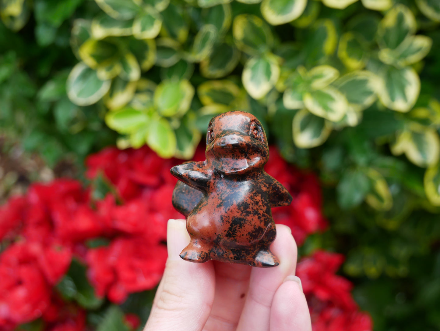 Mahogany Obsidian Pokeman