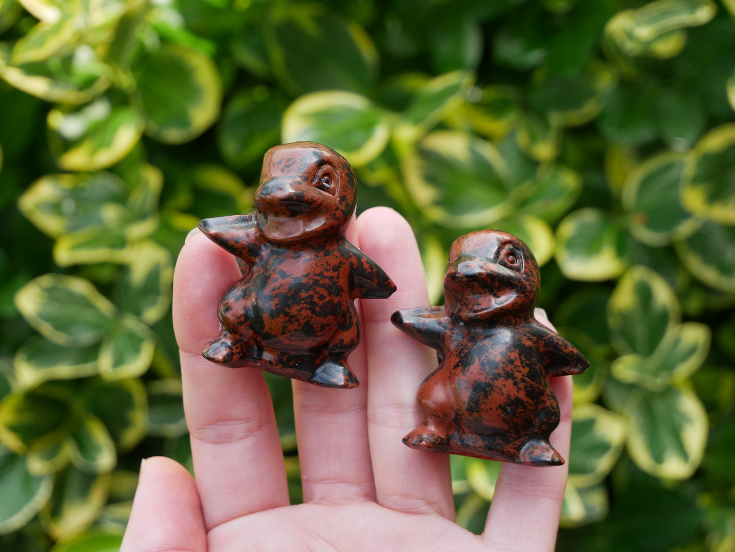 Mahogany Obsidian Pokeman