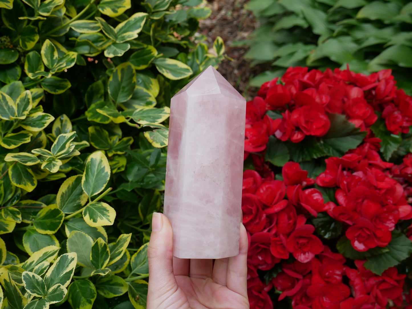 Rose Quartz Tower