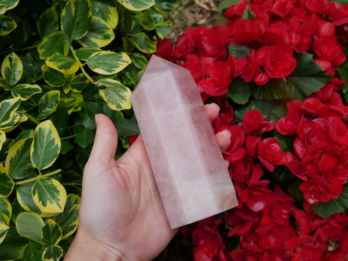 Rose Quartz Tower