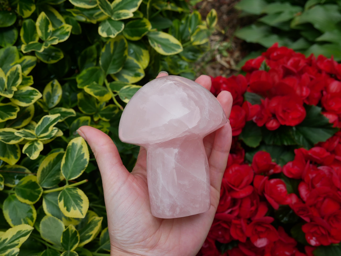 Rose Quartz Mushroom Large