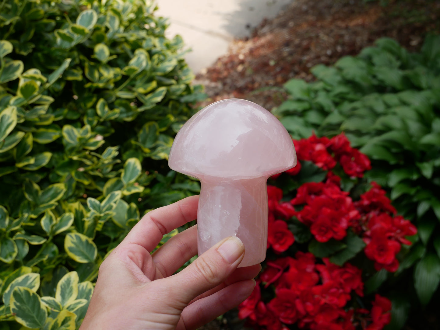 Rose Quartz Mushroom Large