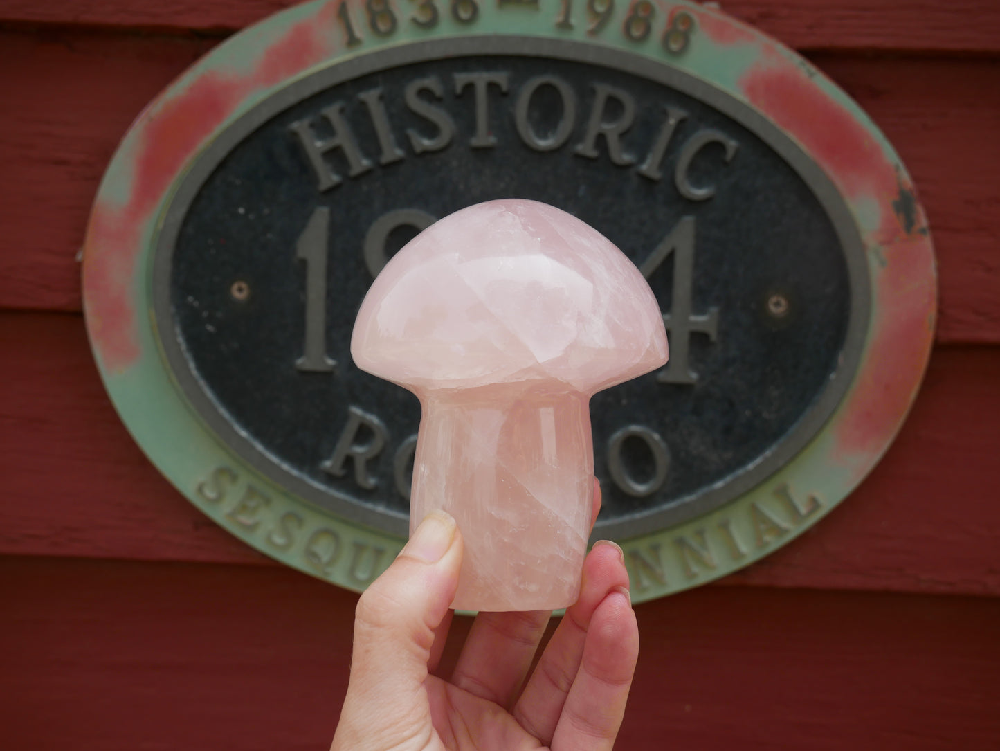 Rose Quartz Mushroom Large