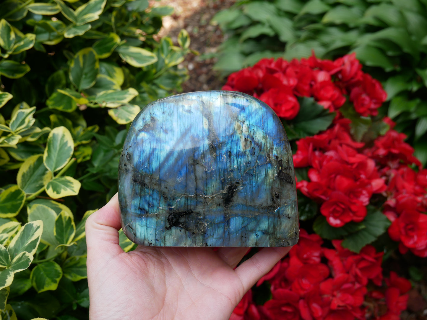 Labradorite FLASHY Free Form