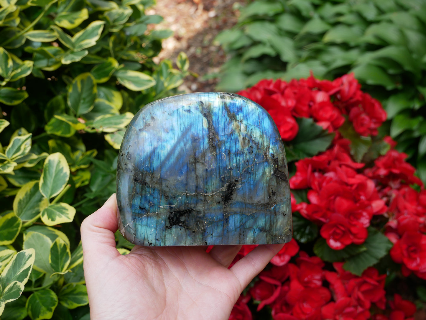 Labradorite FLASHY Free Form