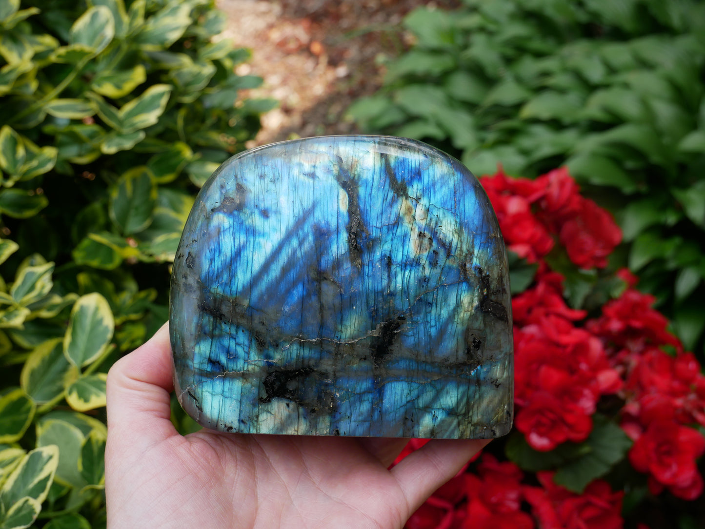 Labradorite FLASHY Free Form