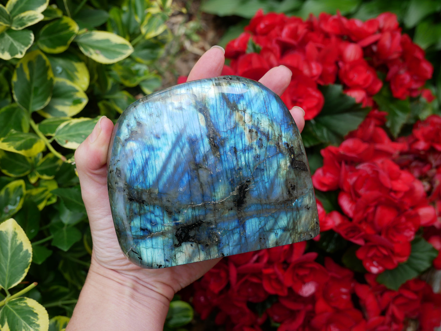 Labradorite FLASHY Free Form