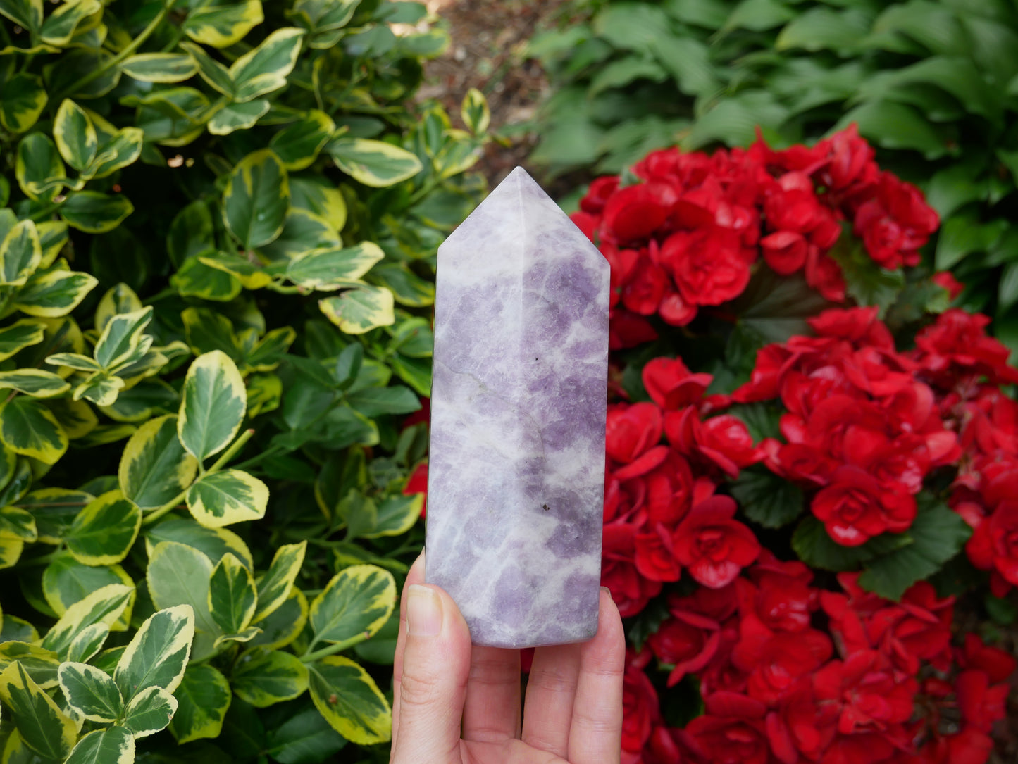 Lepidolite Point