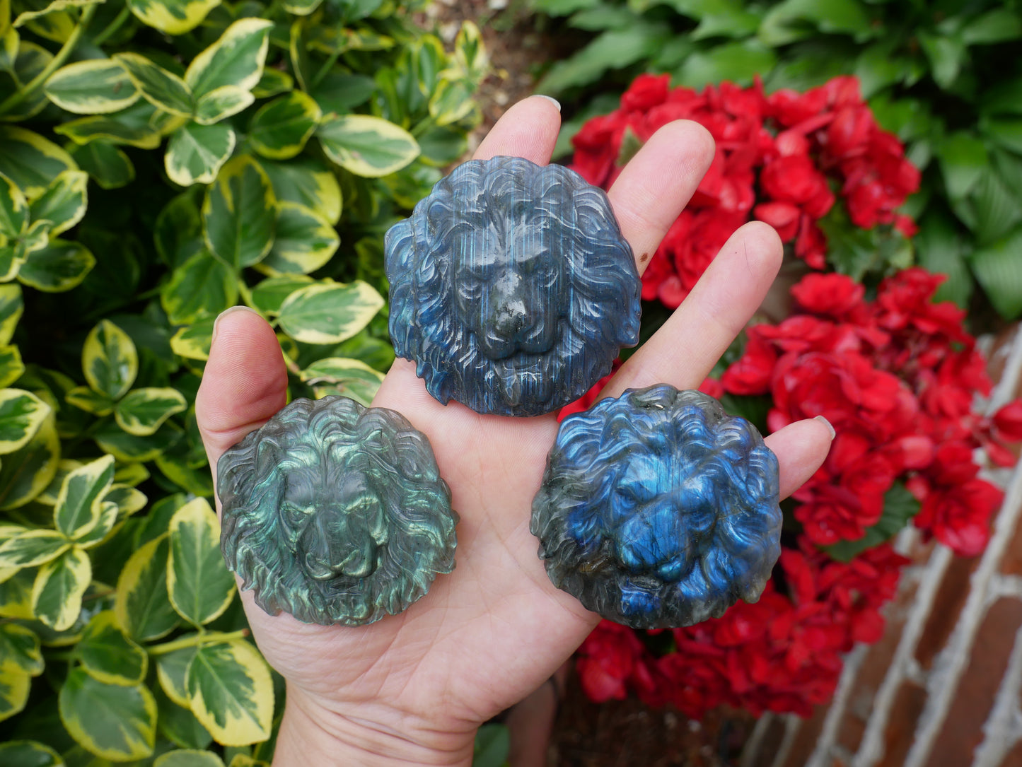 Labradorite FLASHY Lion