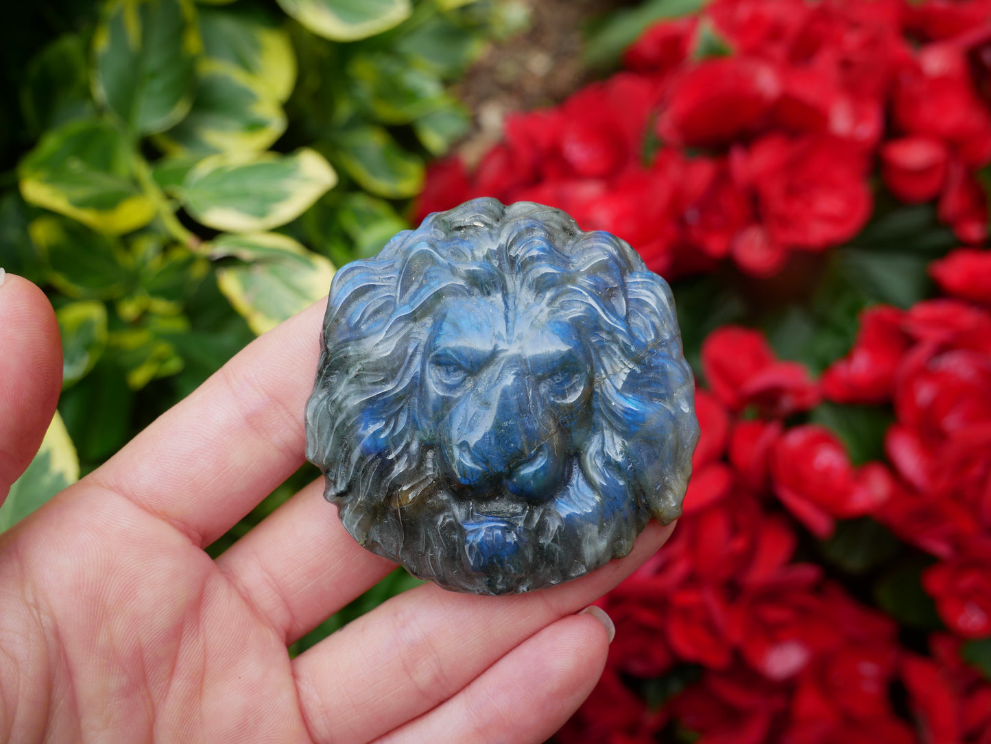 Labradorite FLASHY Lion