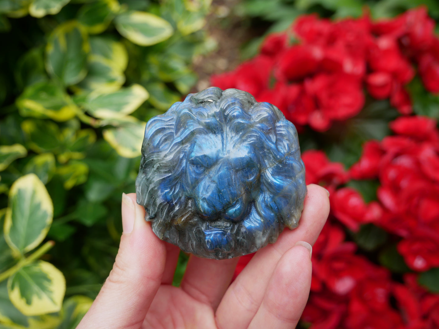Labradorite FLASHY Lion