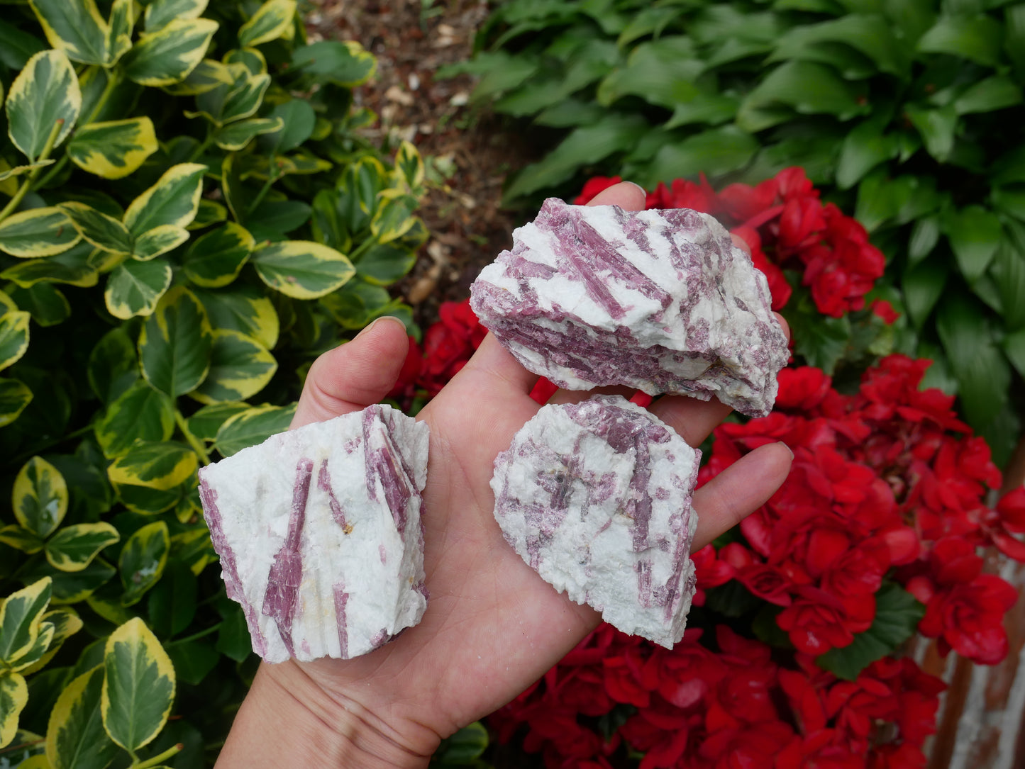 Pink Tourmaline Raw