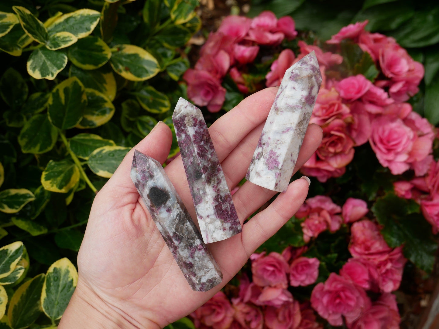 Pink Tourmaline Rubellite Towers