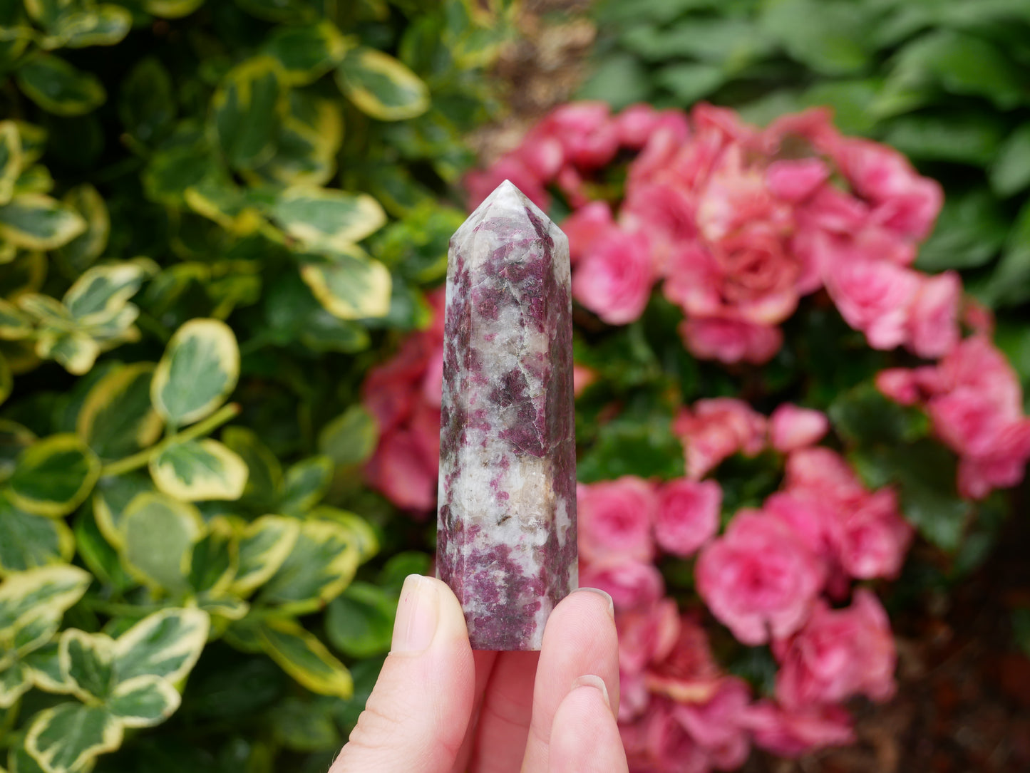 Pink Tourmaline Rubellite Towers