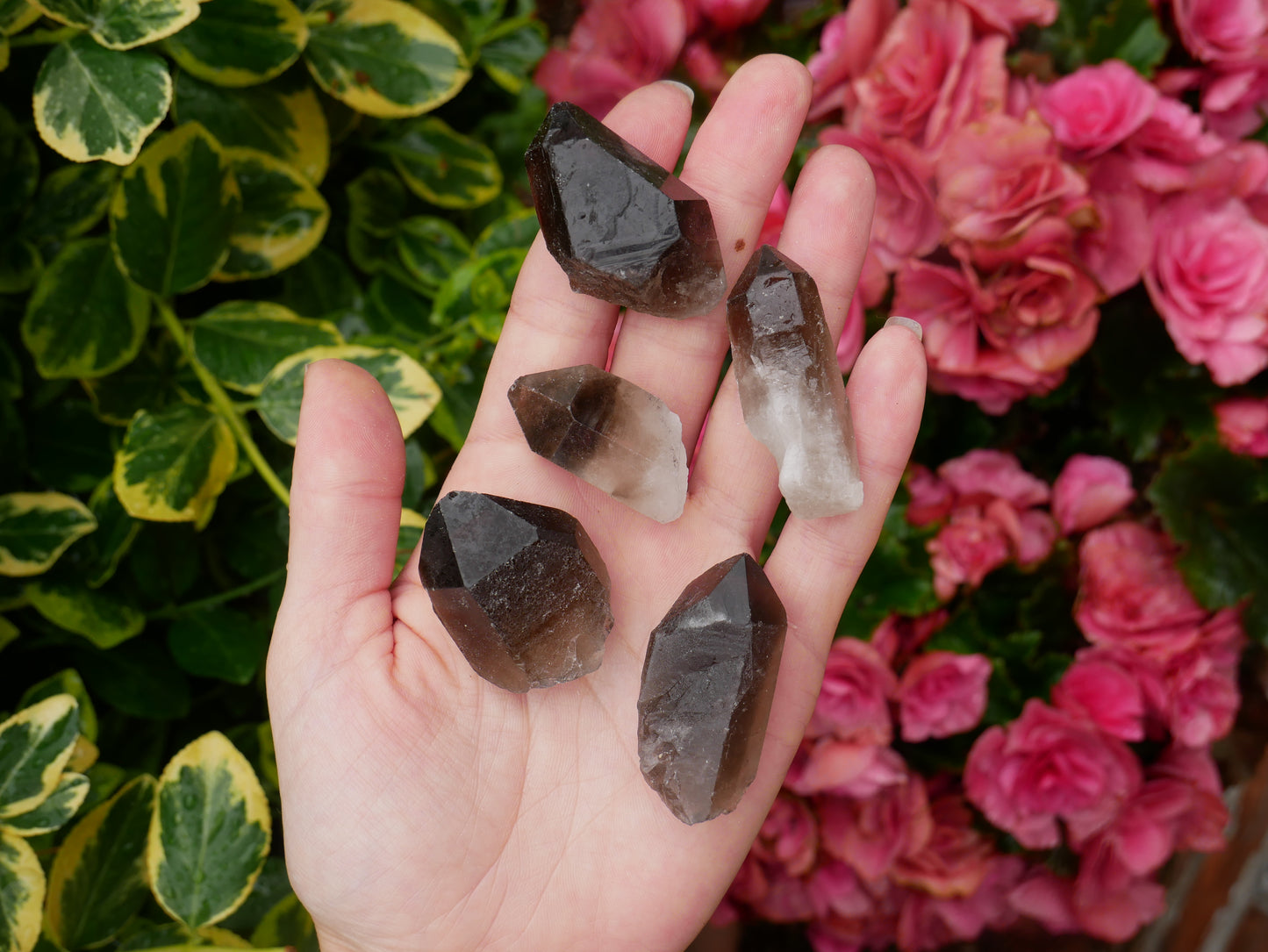 Smokey Quartz Points