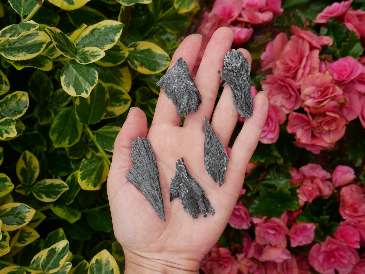 Black Kyanite Small Fan