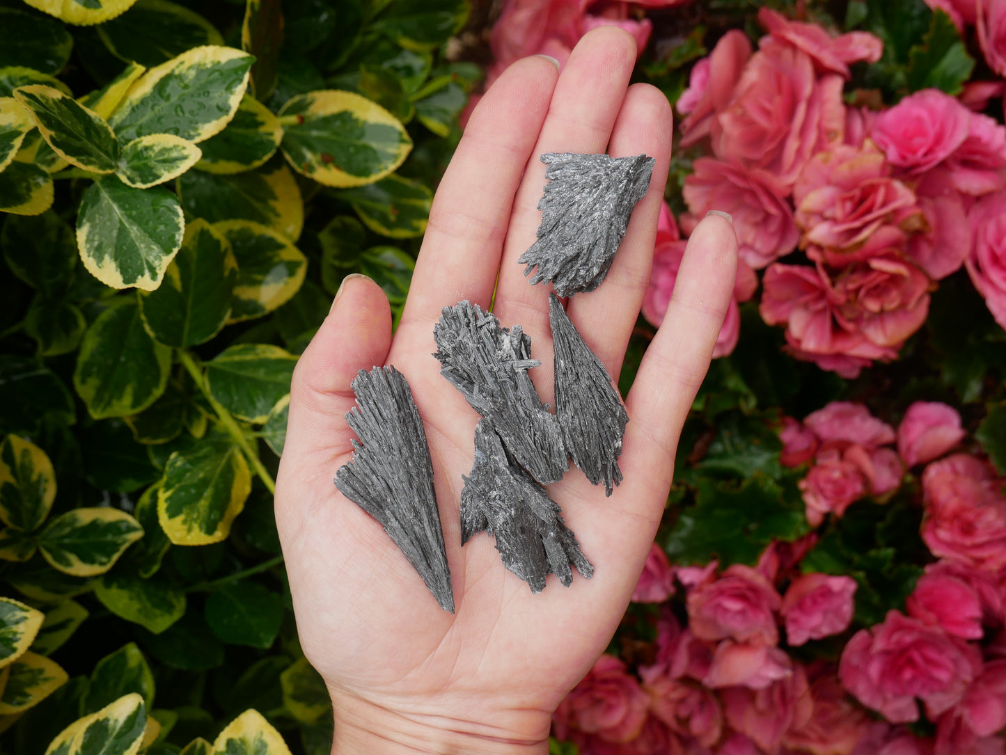 Black Kyanite Small Fan