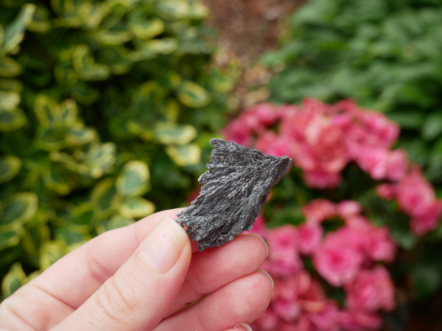 Black Kyanite Small Fan