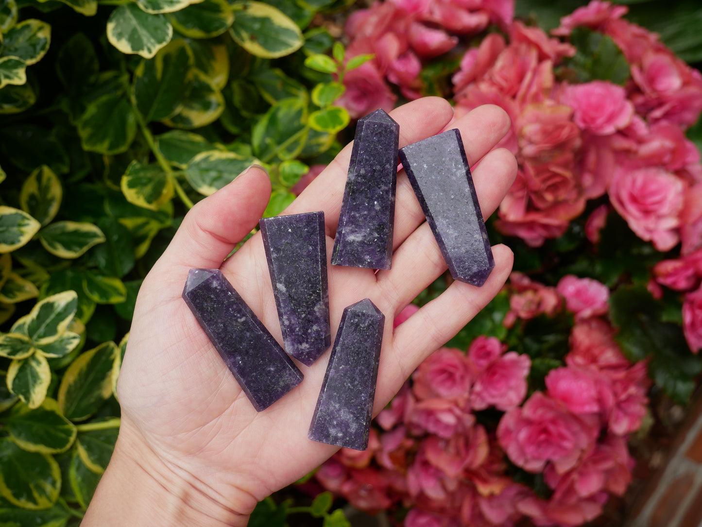 Lepidolite FLAT Points