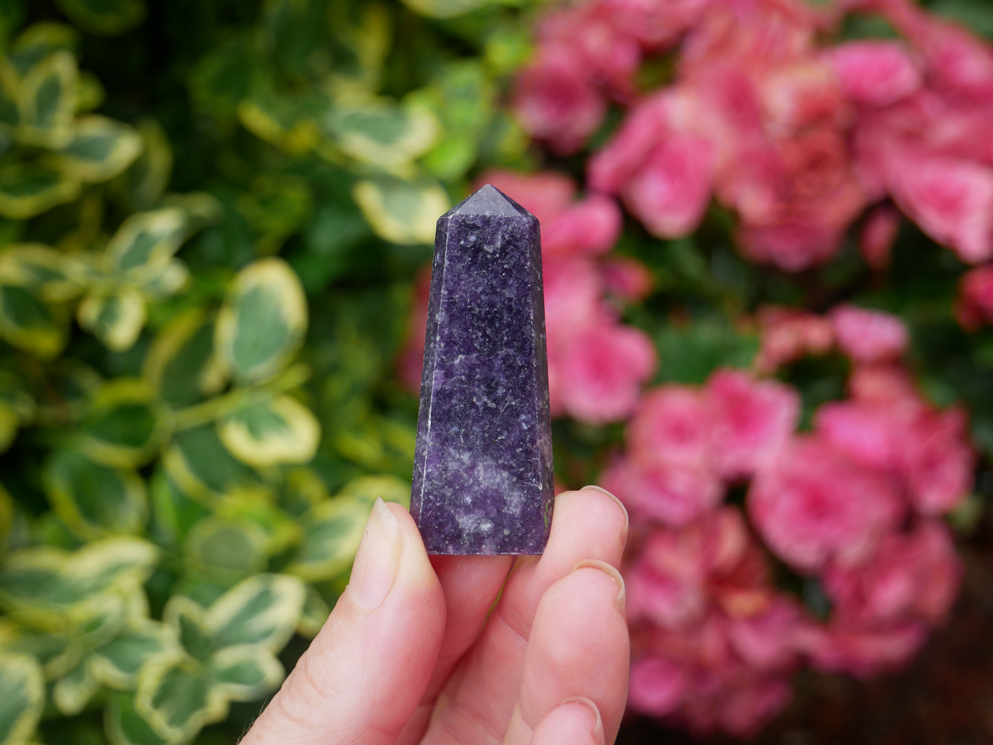 Lepidolite FLAT Points