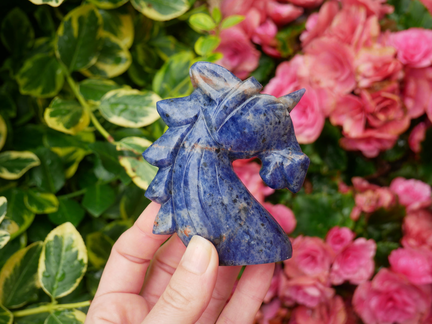 Sodalite Unicorn
