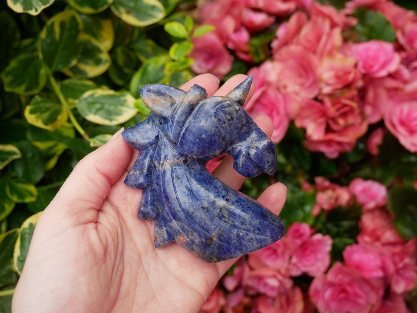 Sodalite Unicorn