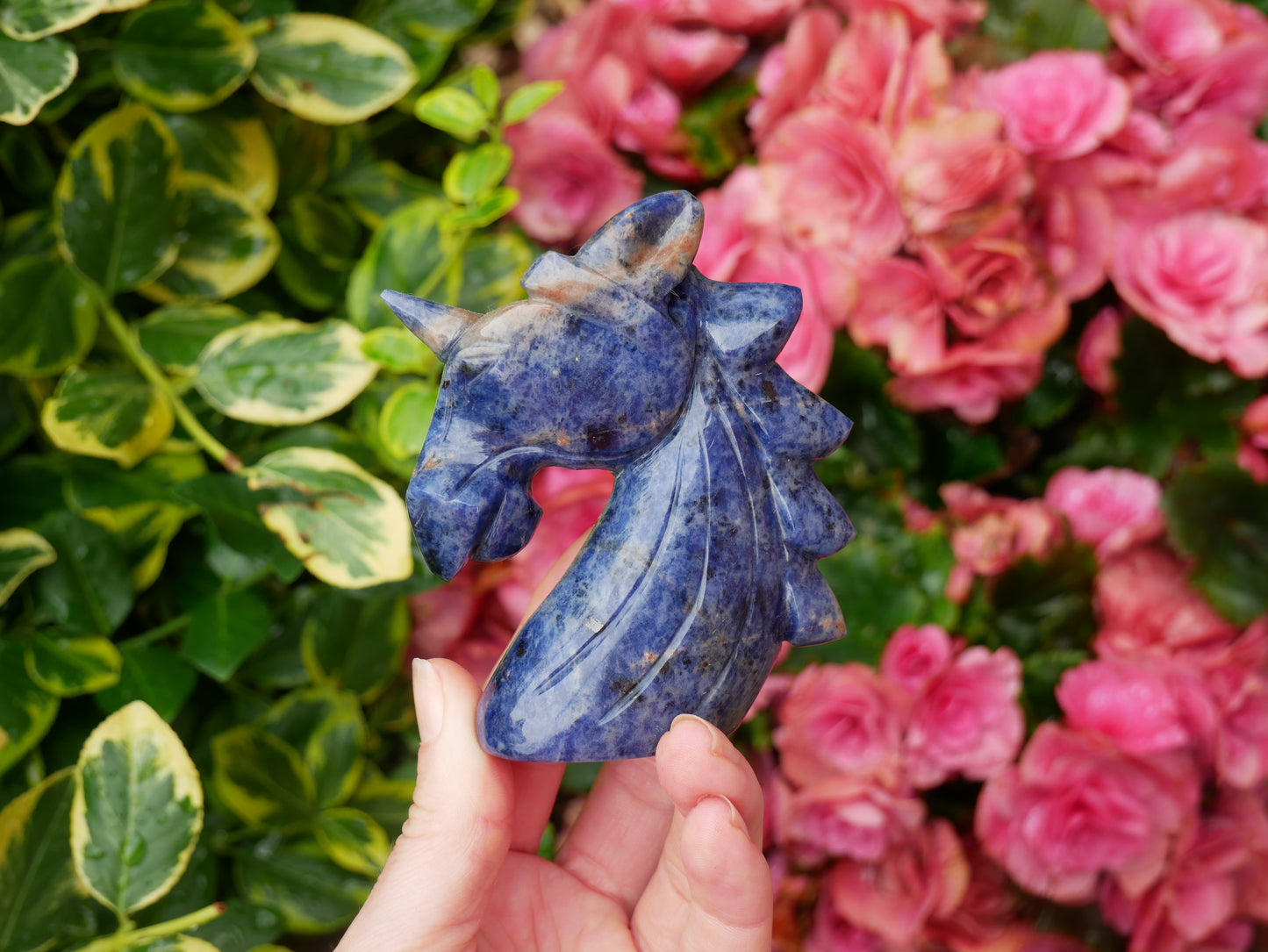 Sodalite Unicorn