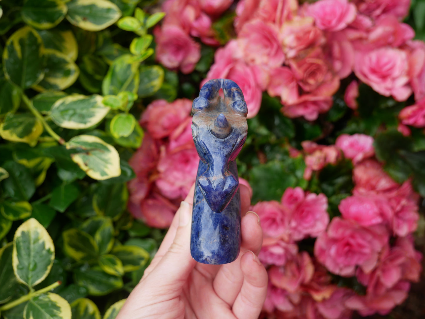 Sodalite Unicorn