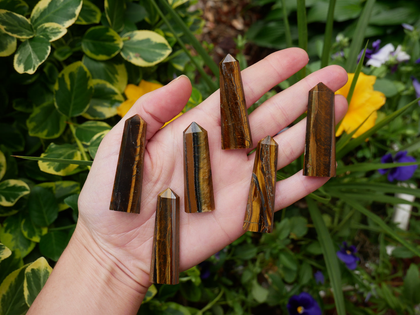 Tigers Eye FLAT Point