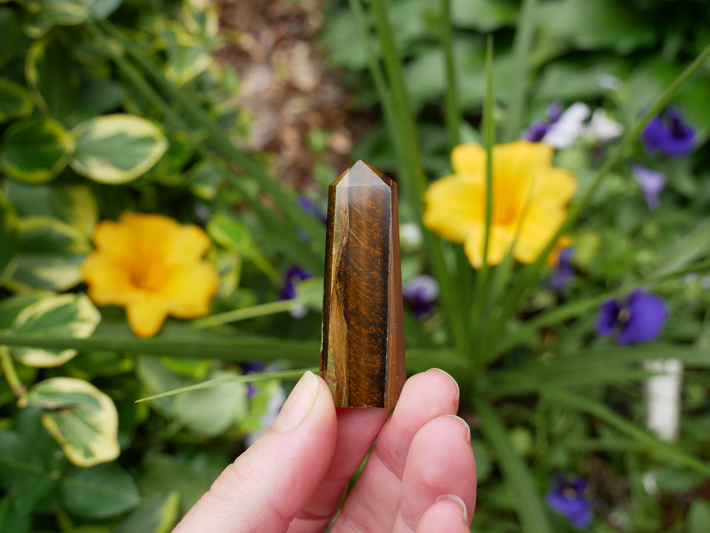 Tigers Eye FLAT Point