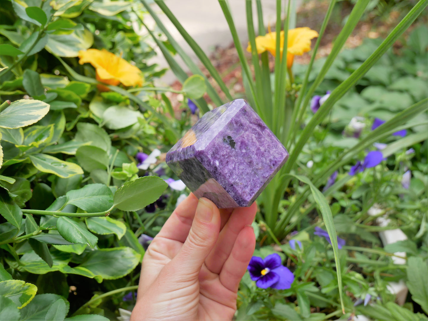 Charoite LARGE Cubes