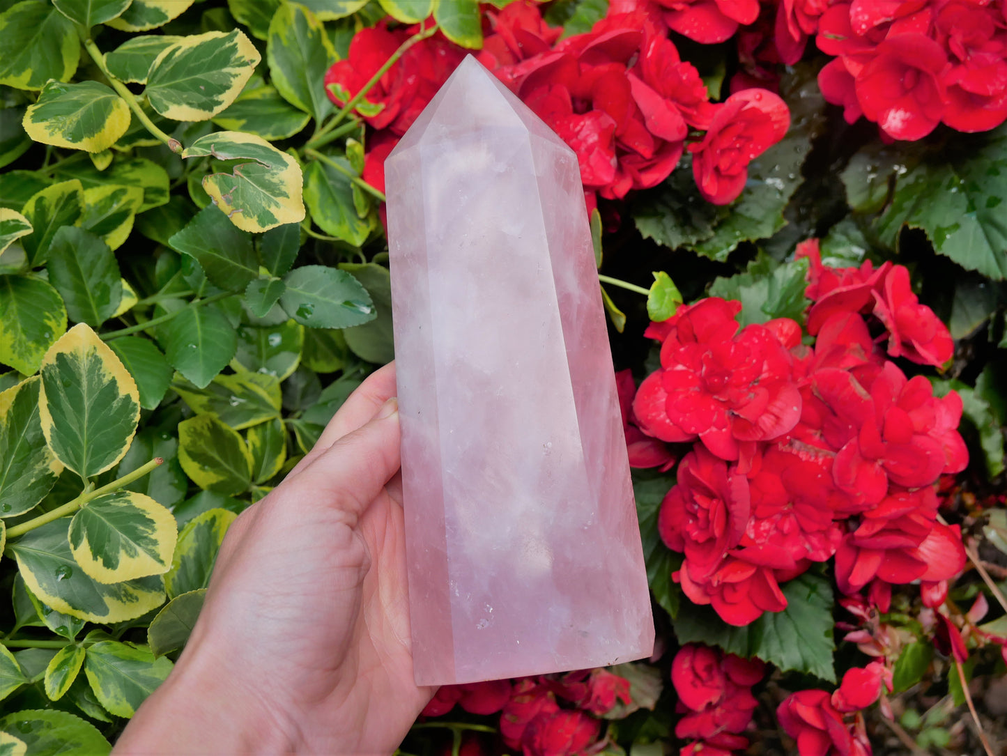 Rose Quartz Tower