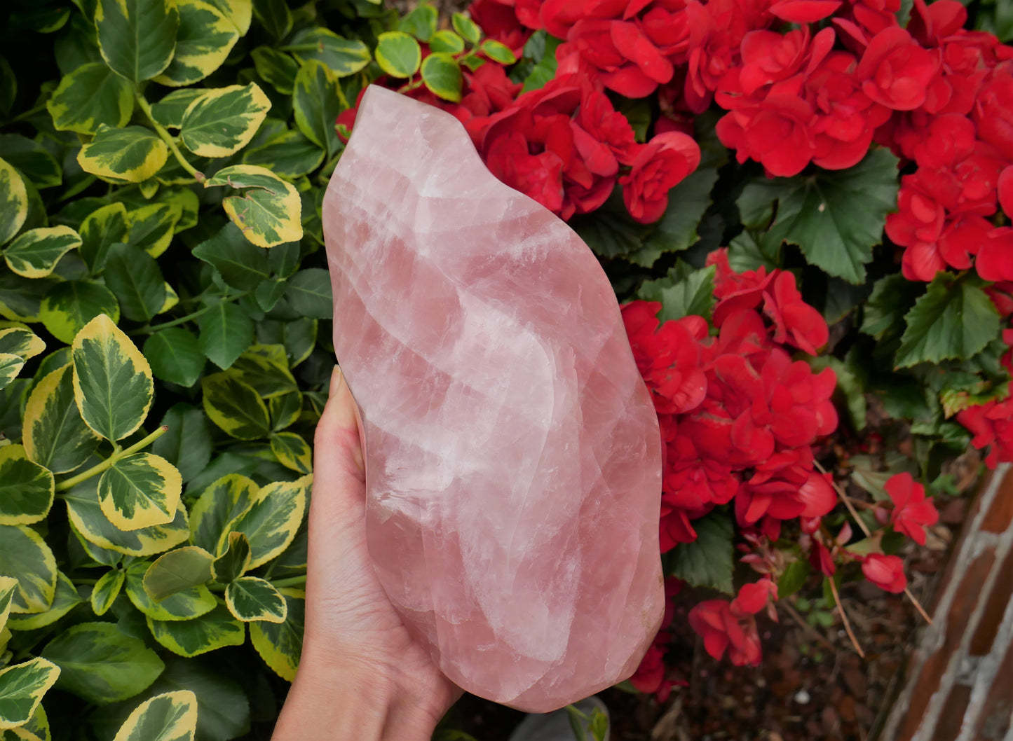 Rose Quartz LARGE Flame