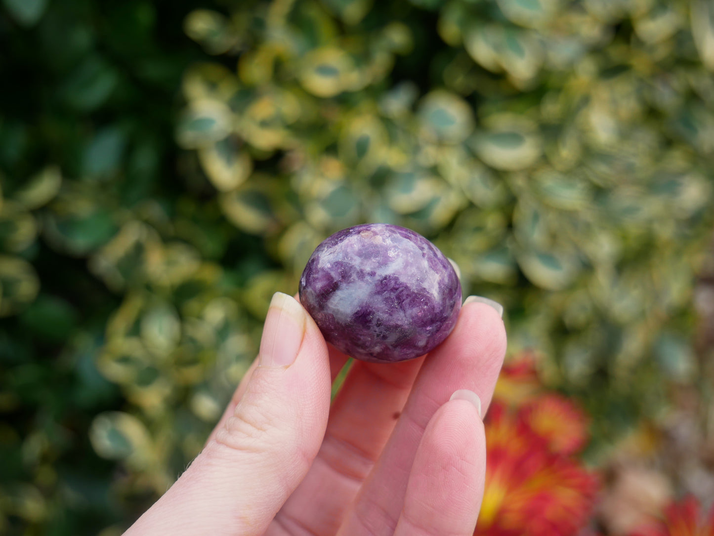 Lepidolite Tumbled Stones