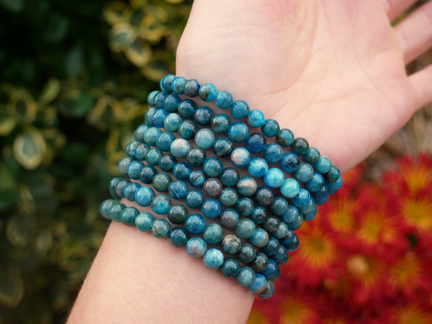 Apatite Beaded Bracelet 6mm