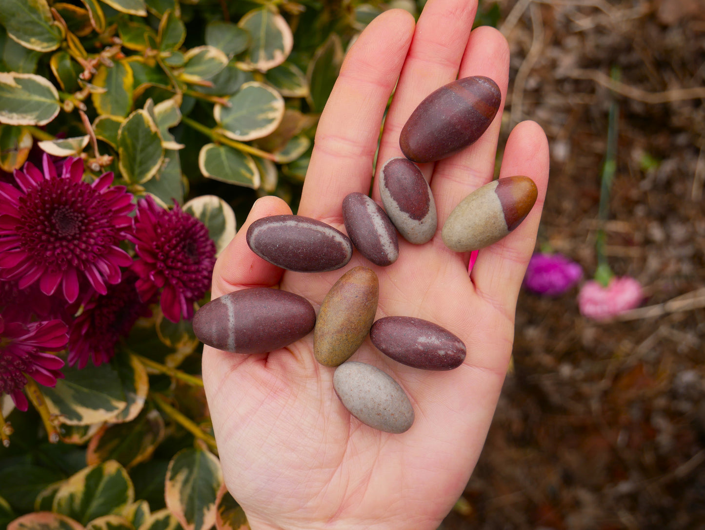 Shiva Lingam Narmada Stones