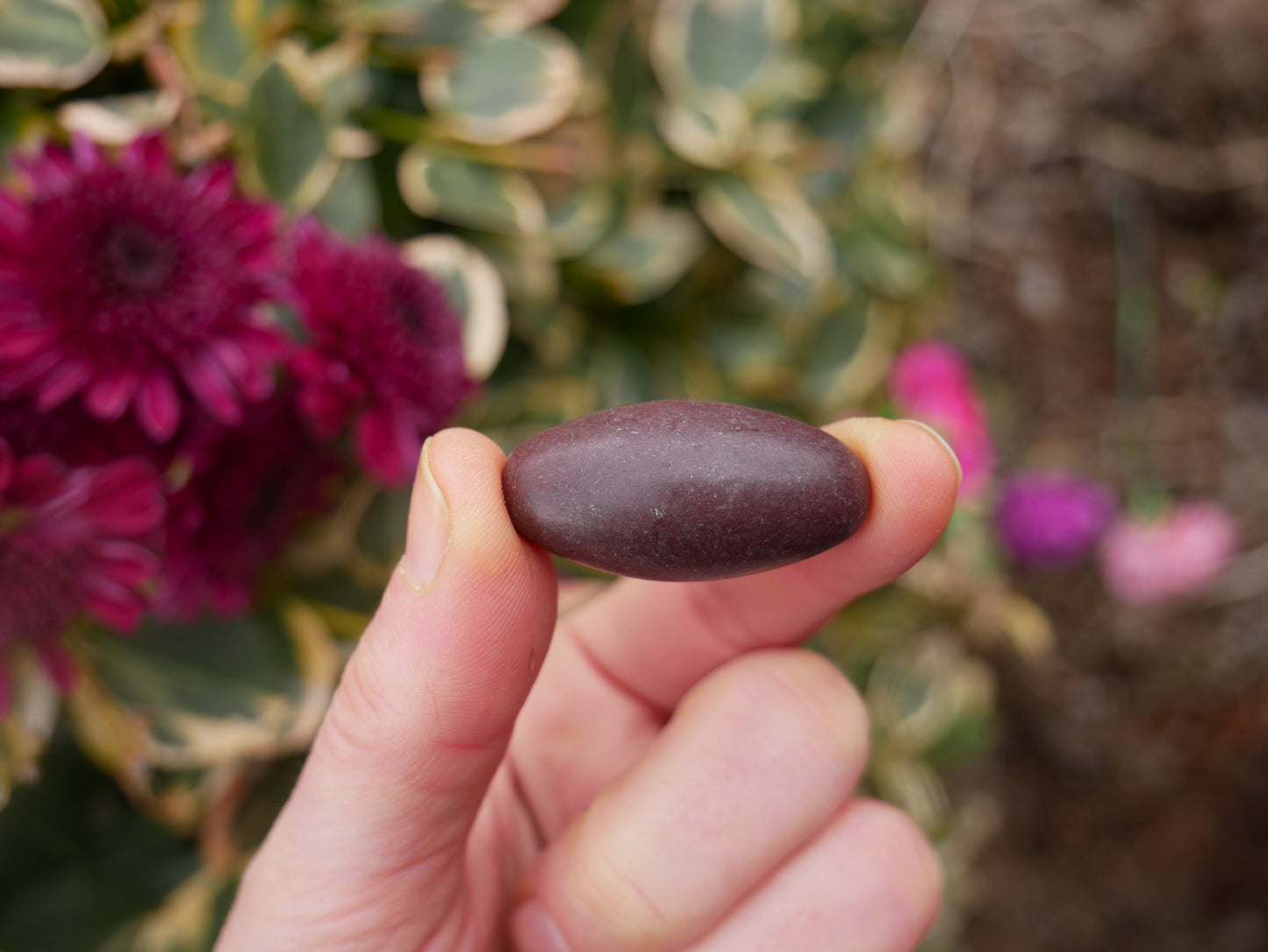 Shiva Lingam Narmada Stones