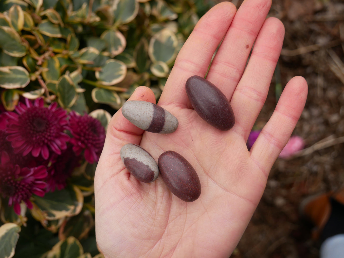 Shiva Lingam Narmada Stones