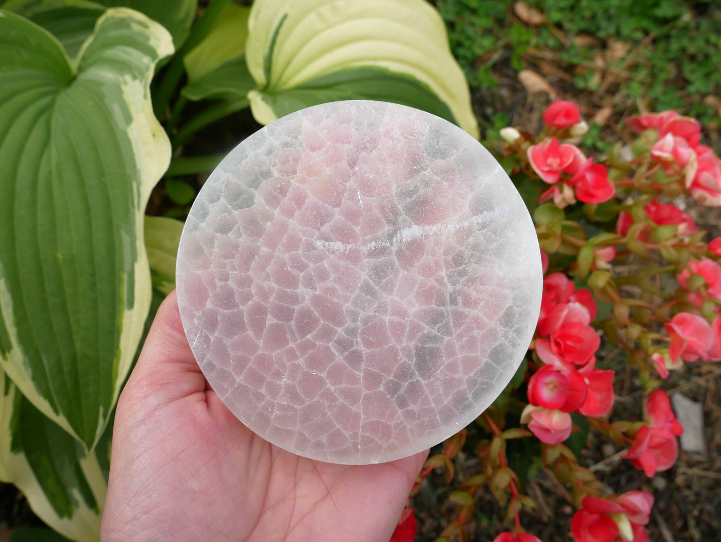 Selenite Circles - 4 inches