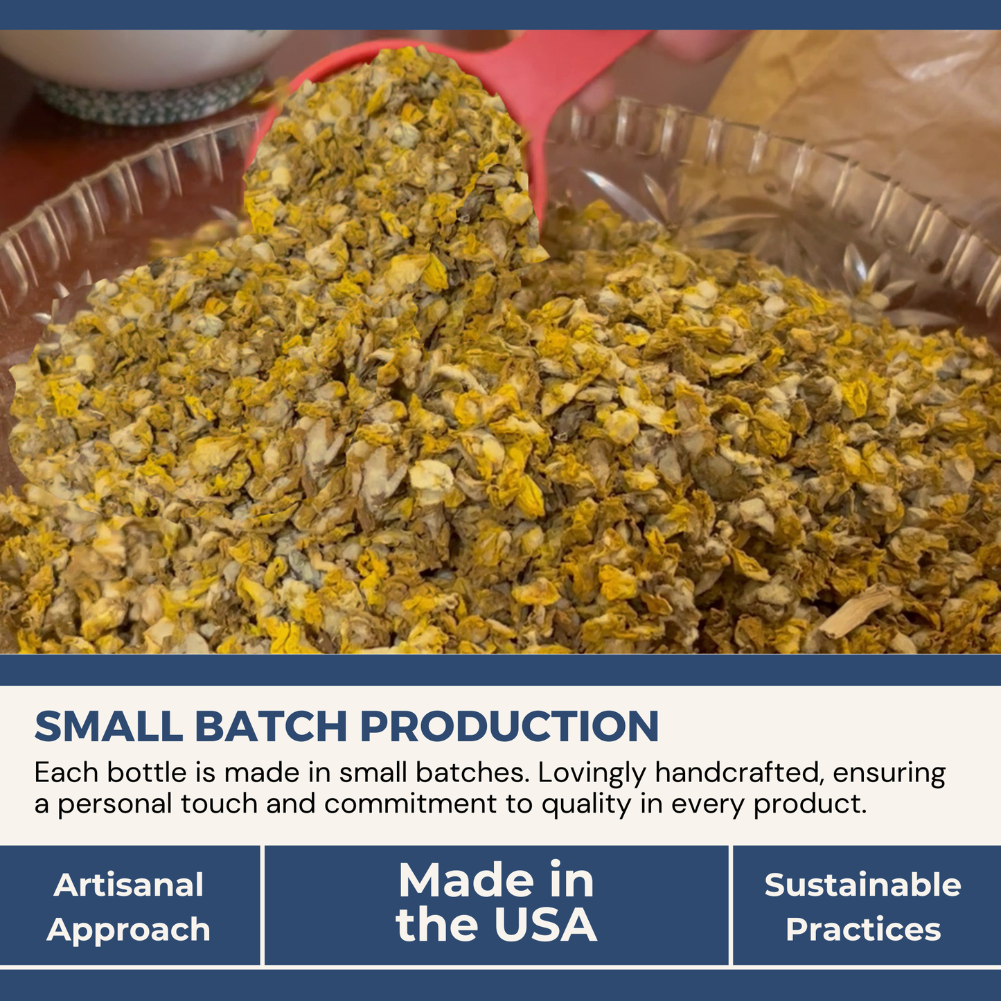 Mullein Oil - 1oz: Harmony's Mullein Oil
