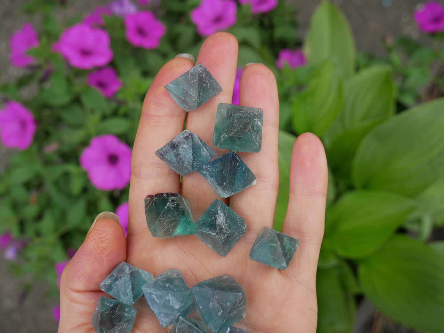 Blue Fluorite Octahedrons - 4 oz