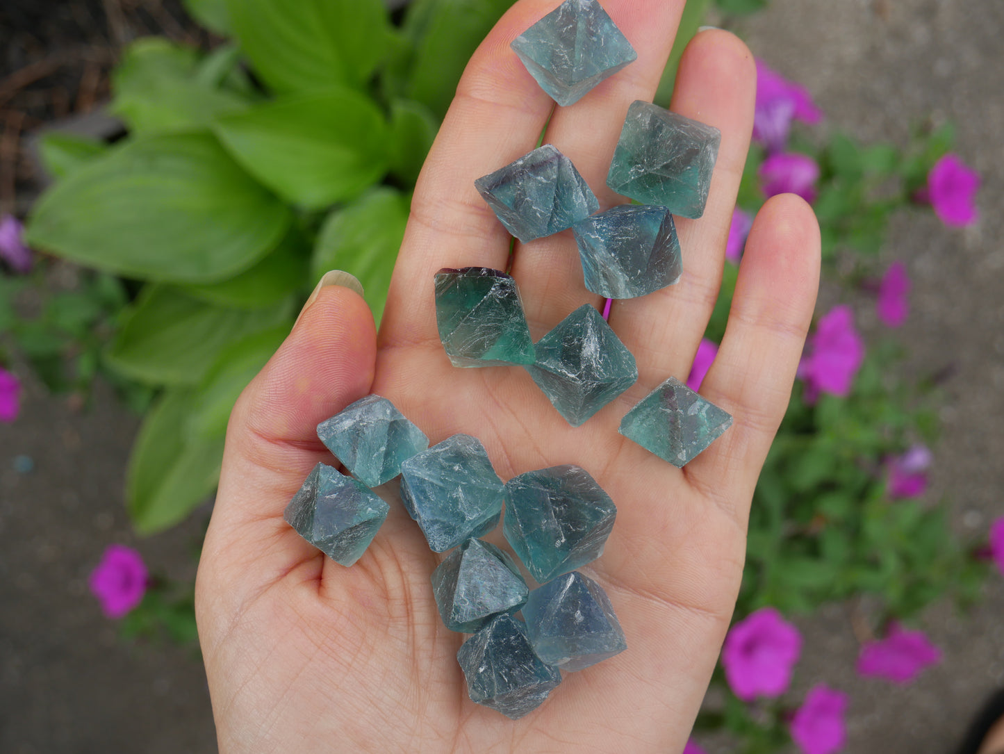 Blue Fluorite Octahedrons - 4 oz
