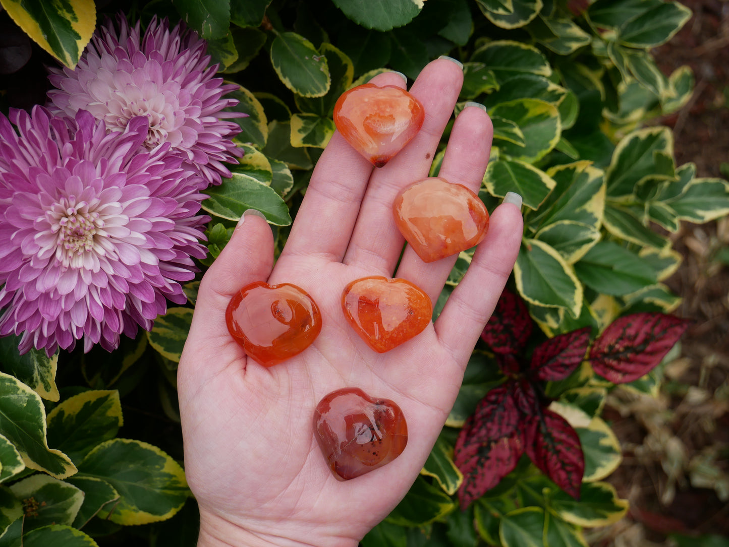 Carnelian Puffy Hearts - The Healing Sanctuary