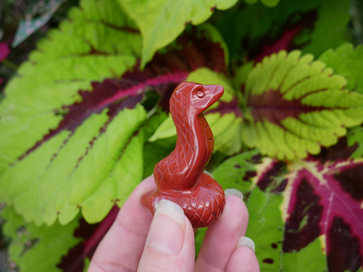 Red Jasper Snakes - Spirit Animals